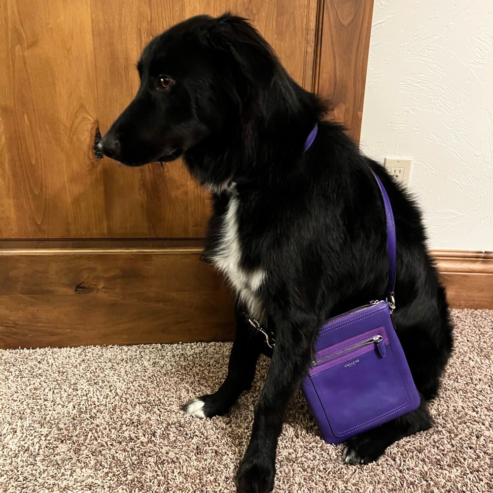 Coach crossbody